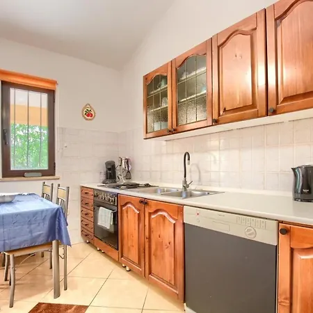 Nikola Apartment Vinkuran